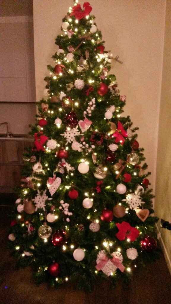 Finalmente l' albero - 1