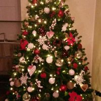 Finalmente l' albero - 1