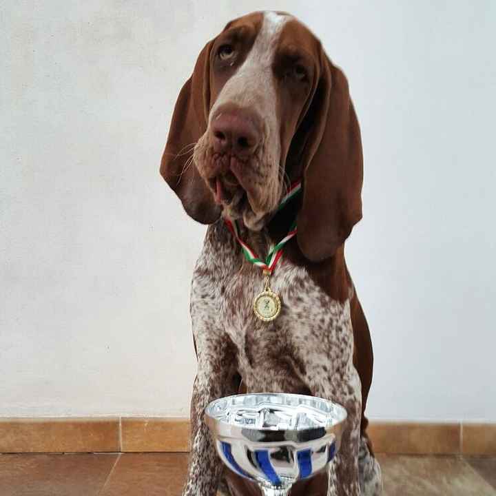 Cuccioli di casa... - 1