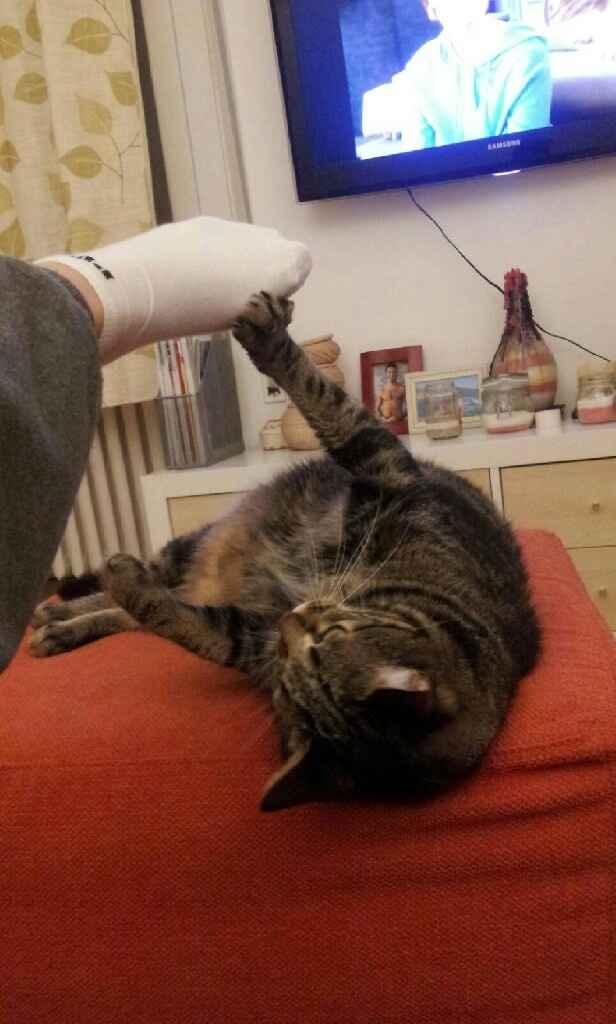 Se non ci fossero loro... - 1