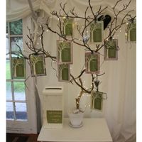 Albero della vita - 2