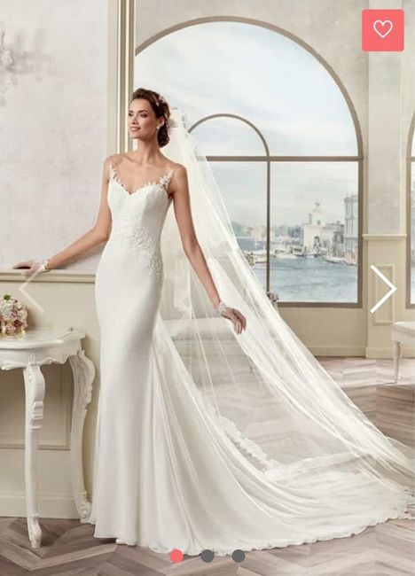 Quanto avete pagato il vostro abito??? - 1