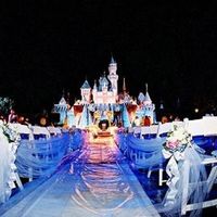 matrimonio a disneyland