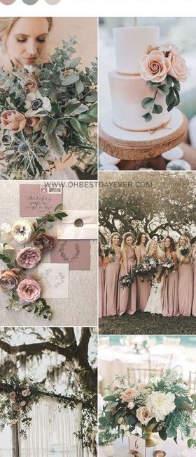 Scelta tema e colore 1