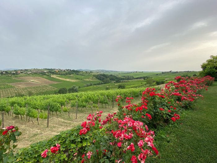 Ieri aperitivo in location 🤩 8