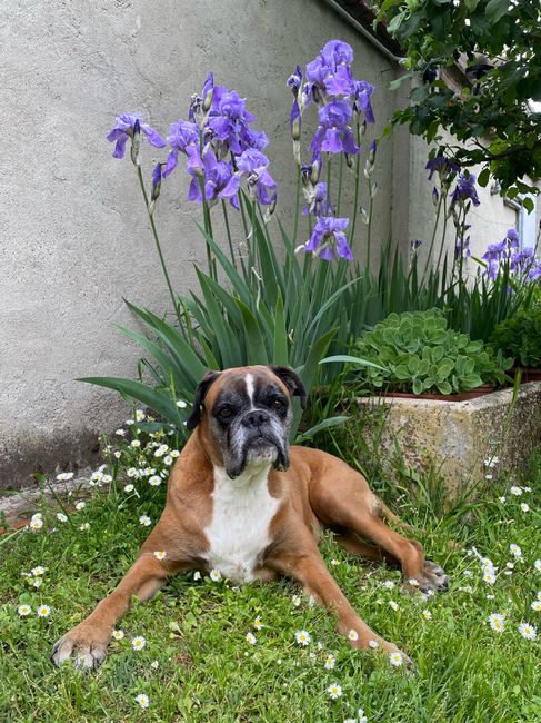 Cosa vi mancherà della vostra casa natale - 1