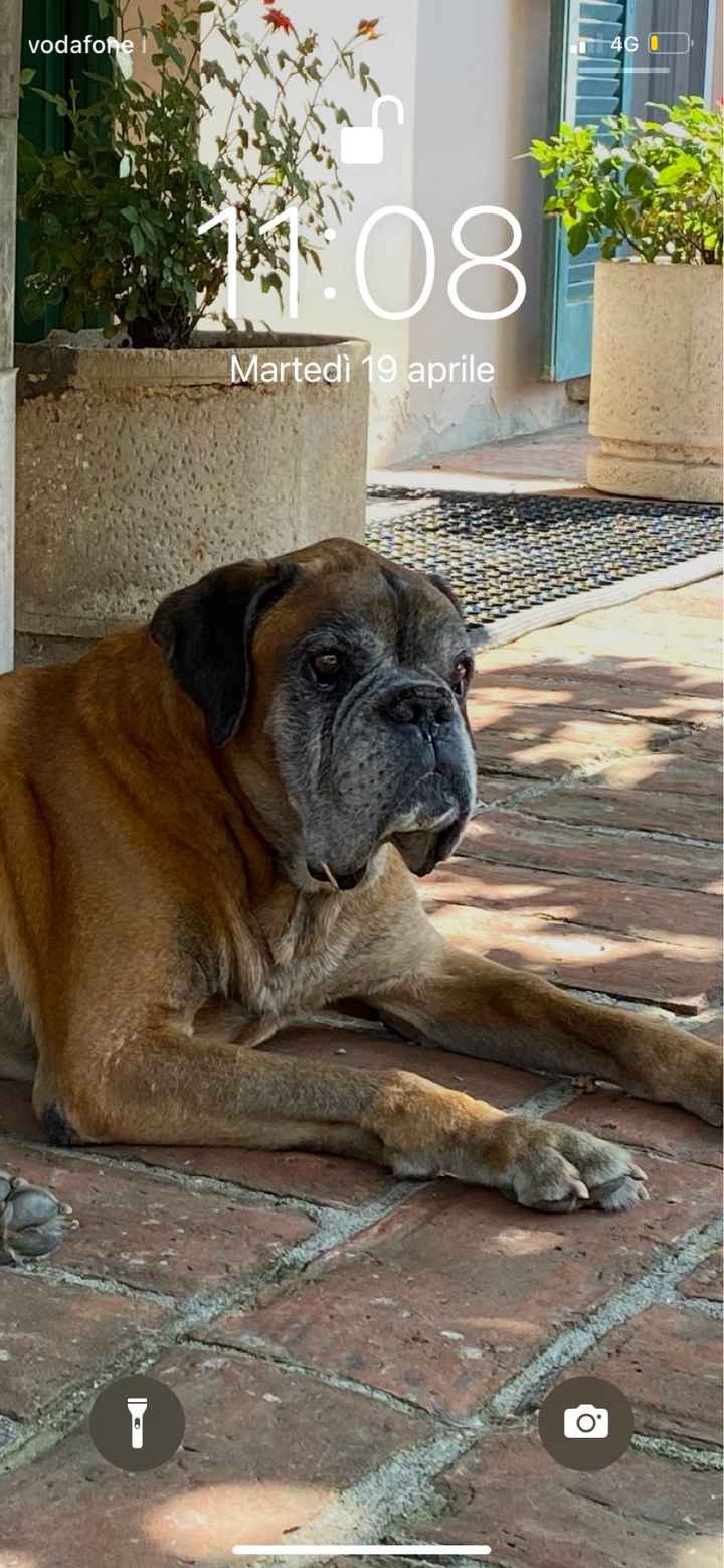 Gioca con noi e scarica i romantici sfondi di coppia - 1