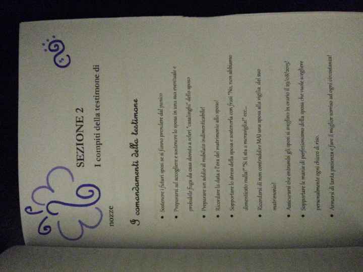 Manuale per la mia sister testimone - 2
