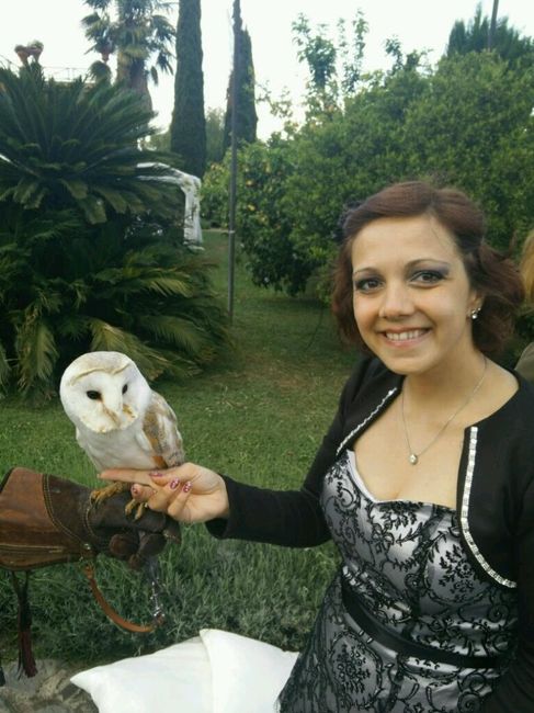 Abito da invitata - 1