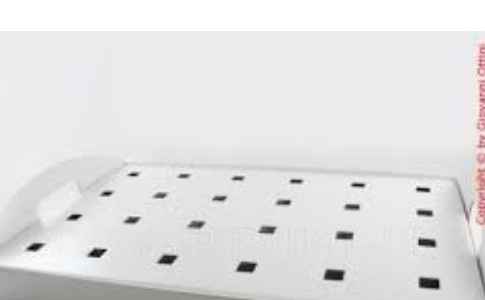 Dilemma: coni porta riso - 1