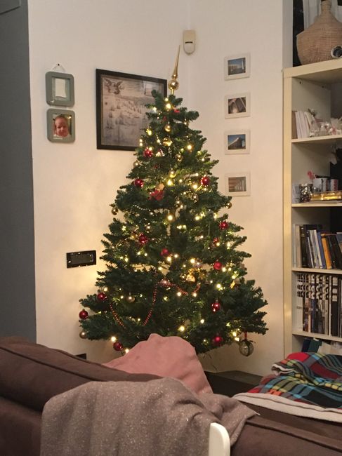 Avete mai fatto l'albero insieme? - 1