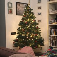 Avete mai fatto l'albero insieme? - 1