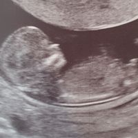 Mamme luglio 2020 - 1