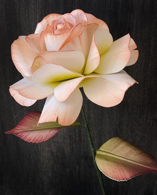 T di tema: qual è il tuo? - 3