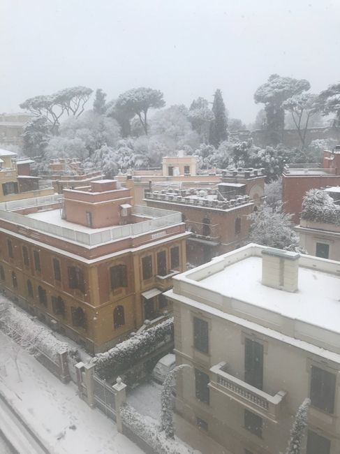 So che non è molto in tema... - 2