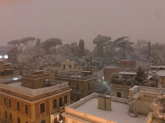 So che non è molto in tema... - 3