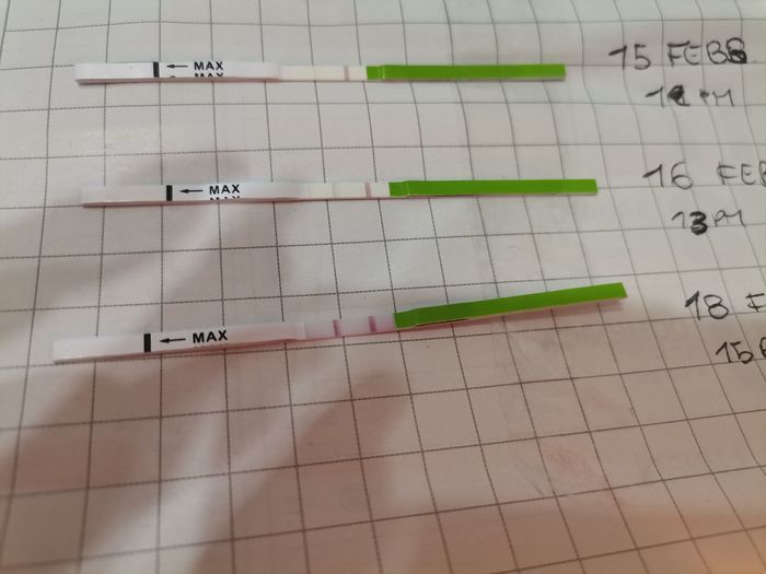 Stick ovulazione 3
