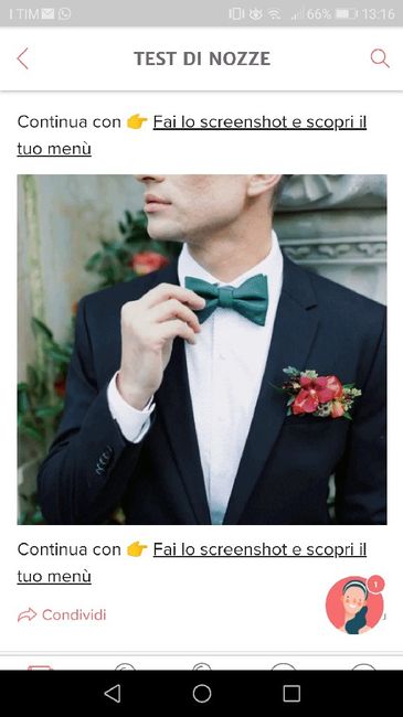 Fai lo screenshot e scopri il vestito dello sposo 25