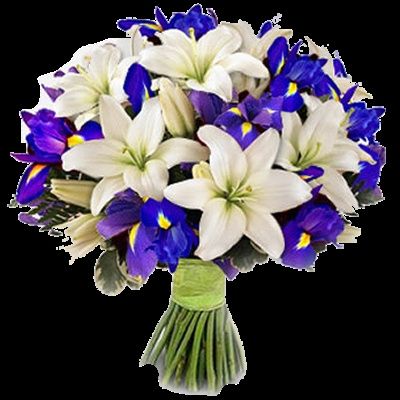 Bouquet di iris - 1