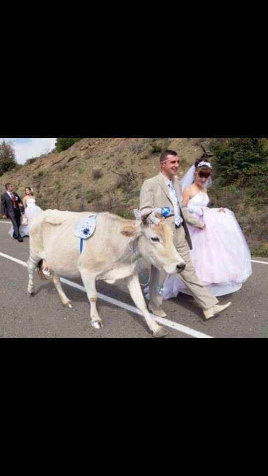 Terapia antistress di matrimonio.com le foto di matrimonio più brutte 2! - 2
