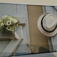 Quali partecipazioni vi piacciono? - 2