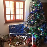 Avete mai fatto l'albero insieme? - 1