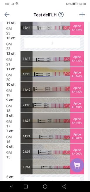 Per chi non le aspetta ottobre, novembre e dicembre 2024🍀🐞 - 1