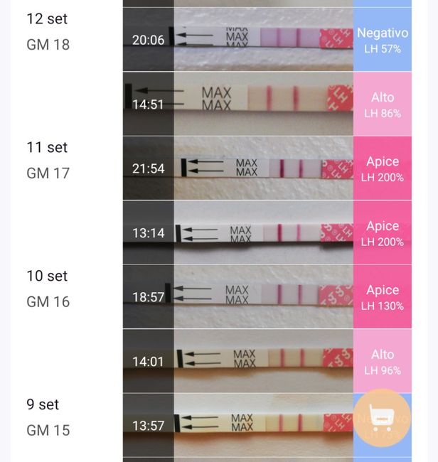 Chi non le aspetta per Marzo 2025 🍀🌸💐🌺 - 1