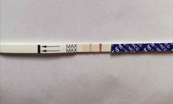 Per chi non le aspetta ottobre, novembre e dicembre 2024🍀🐞 - 1