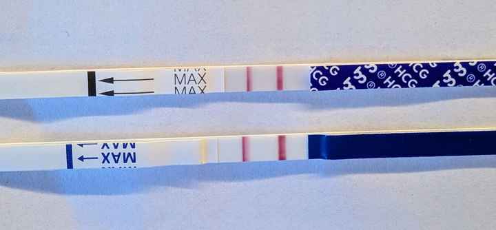 Chi non le aspetta per Marzo 2025 🍀🌸💐🌺 - 1