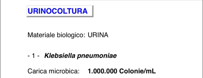 Klebsiella pneumonae... - 1