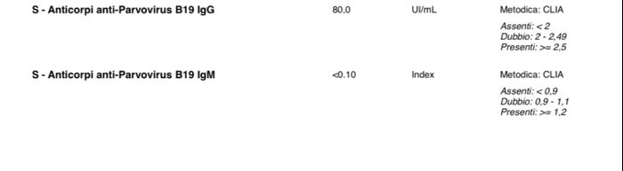 Quinta malattia e gravidanza - 1