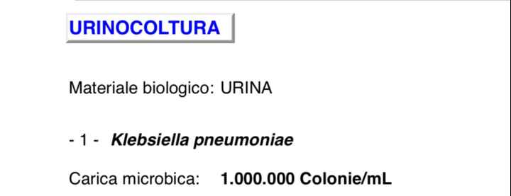 Klebsiella pneumonae... - 1