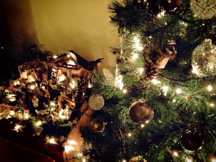 Il vostro albero di natale! - 1