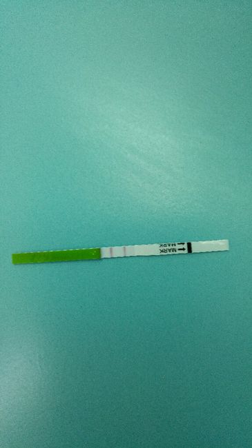 8/9. po test ovulazione positivo e di gravidanza negativi - 1