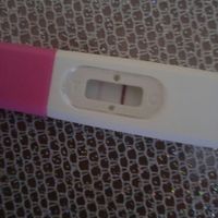 Canadese ovulazione positivissimo primo giorno di ritardo - 1