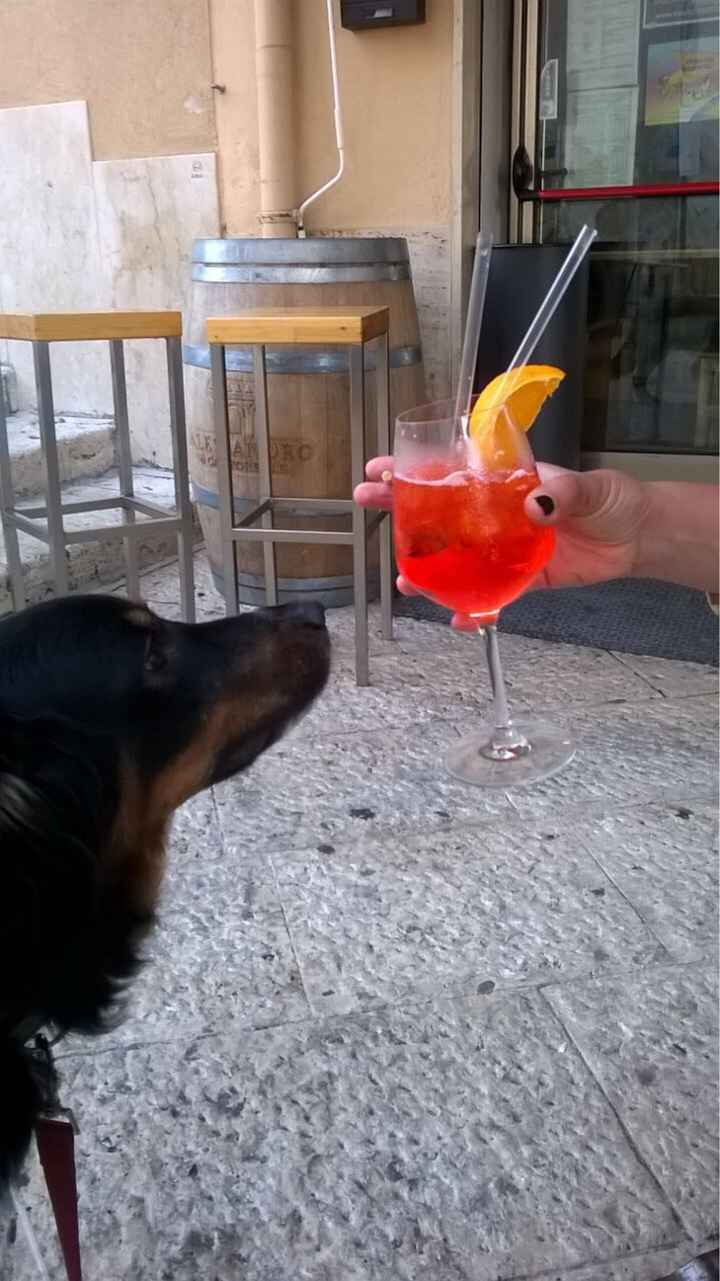  i nostri animali ♥️ - 1