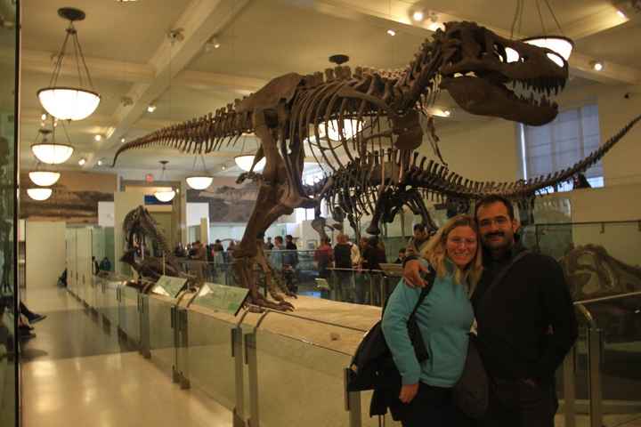 NEW YORK museo di storia naturale