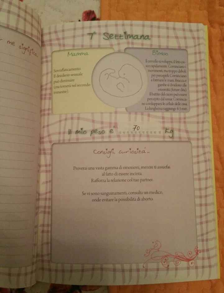Diario di gravidanza - 2