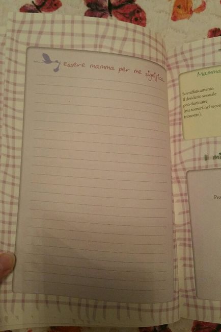 Diario di gravidanza - 1