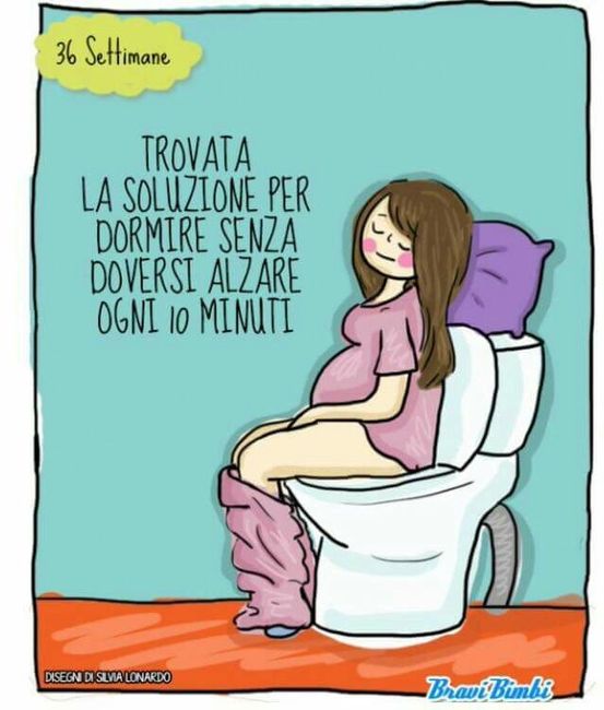 Vignette sulla gravidanza <img class=