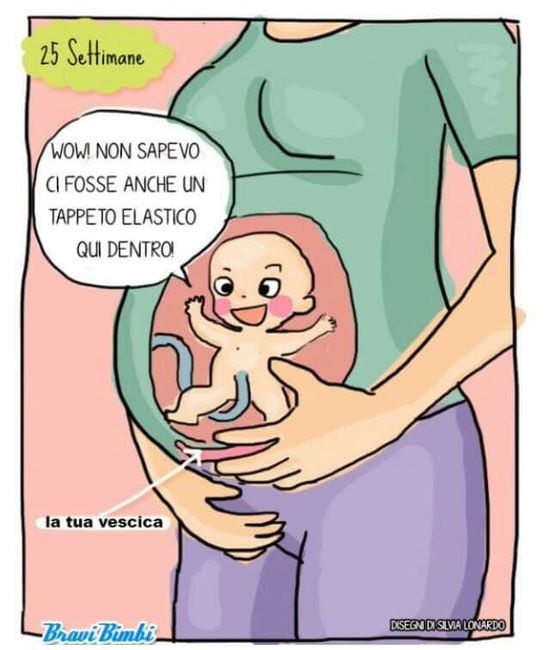 Vignette sulla gravidanza :) - 7