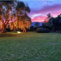 Cosa non farete? - 1