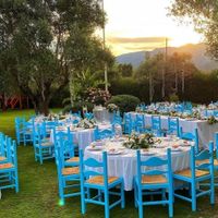 Cosa non farete? - 2