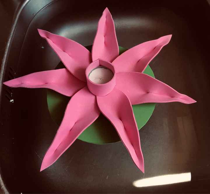 Ninfee galleggianti - 1