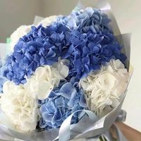 Qual è il tuo fiore preferito? - 1