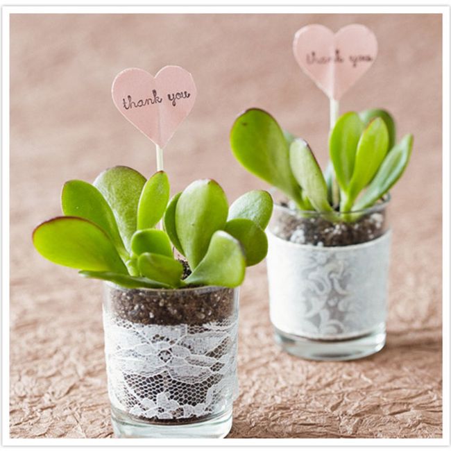 Bomboniera con bulbo 1