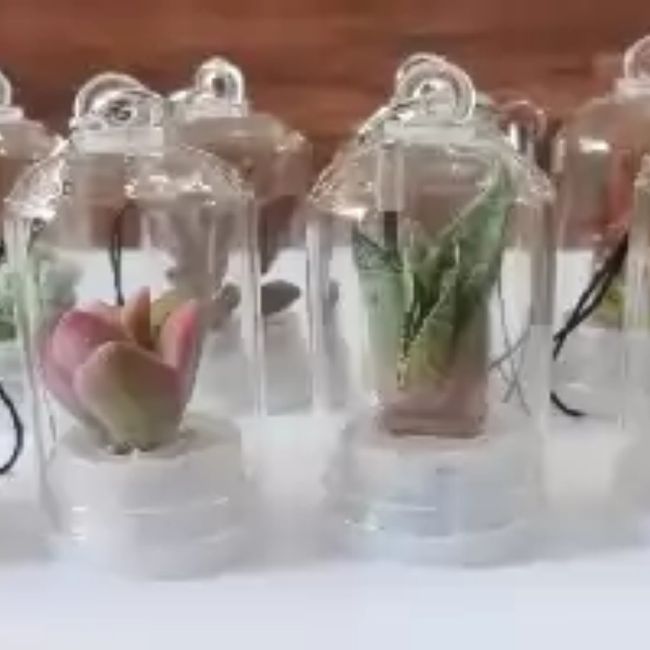 Bomboniera con bulbo 3