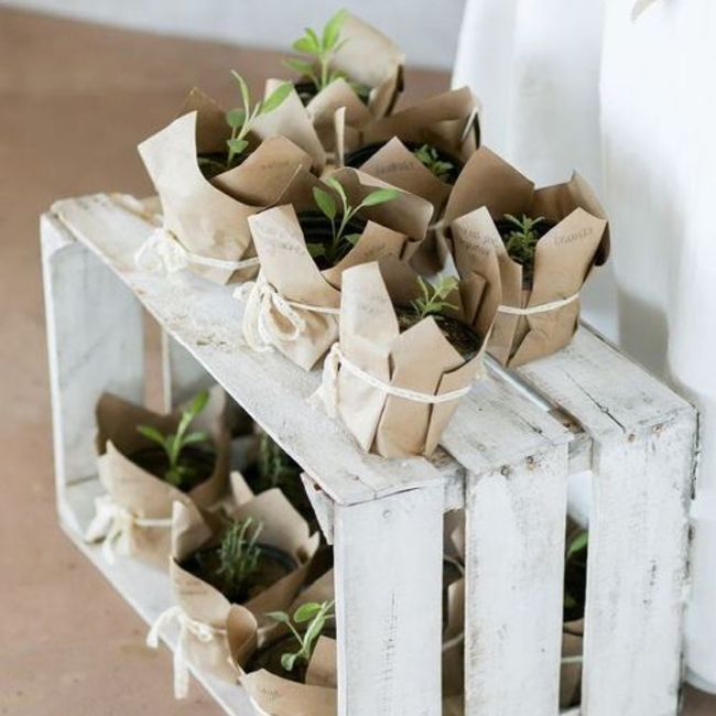 Bomboniera con bulbo 6