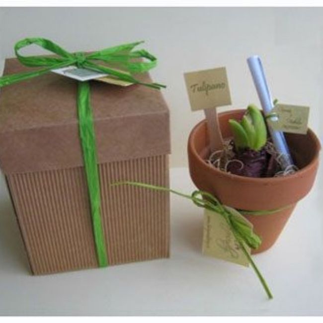 Bomboniera con bulbo 11